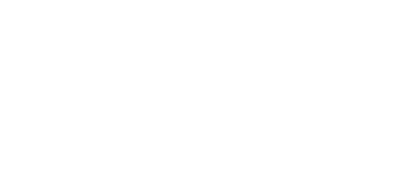 Zipline